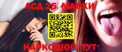 крисы Шелехов
