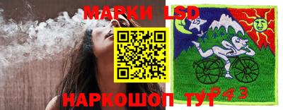 сатива Шахты