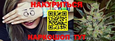 сатива Шахты