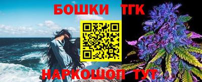 сатива Шахты