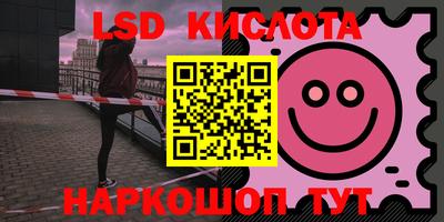 крисы Шелехов