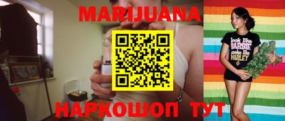крисы Шелехов