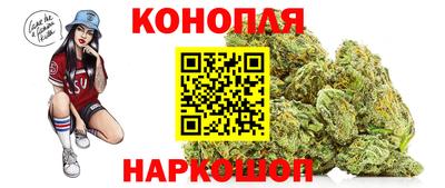 крисы Шелехов