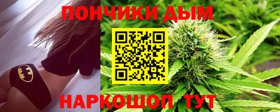 крисы Шелехов