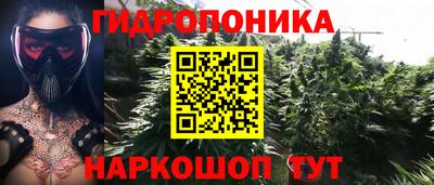 сатива Шахты