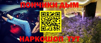 сатива Шахты