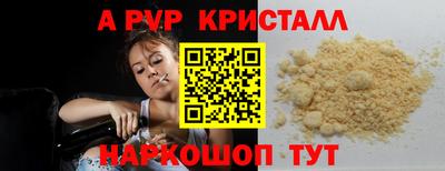 крисы Шелехов
