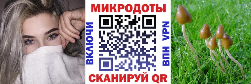 Купить Выборг Псилоцибиновые грибы прущие грибы