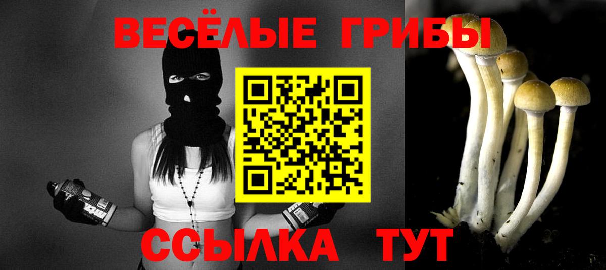Галлюциногенные грибы Cubensis Выборг
