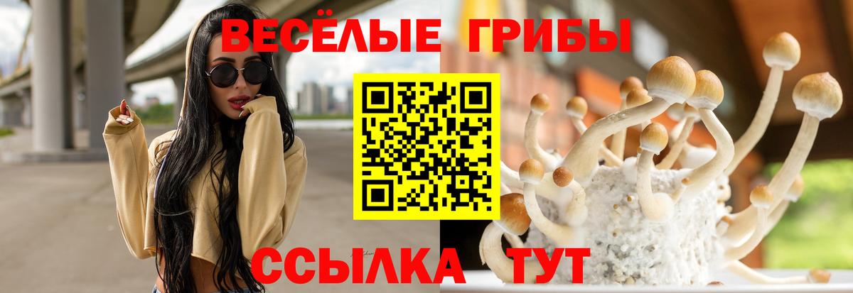 Галлюциногенные грибы MAGIC MUSHROOMS  Вход с VPN  Выборг 