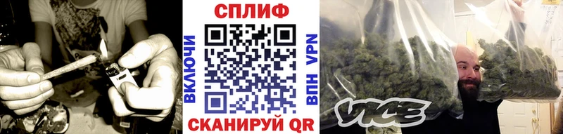 Бошки Шишки OG Kush  Купить где  Выборг 